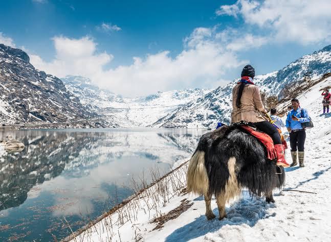 Yak Ride on Changu Lakke